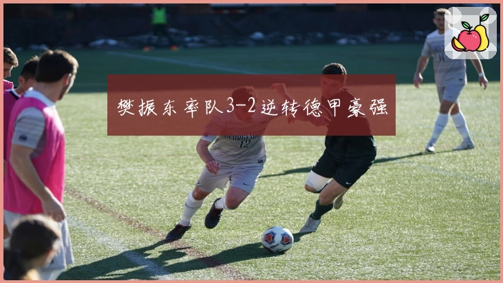 樊振东率队3-2逆转德甲豪强