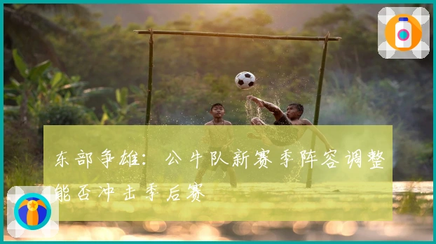 东部争雄：公牛队新赛季阵容调整能否冲击季后赛