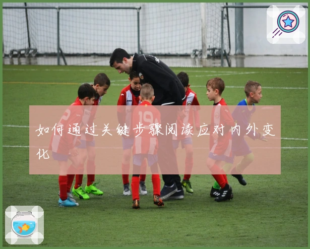 如何通过关键步骤阅读应对内外变化