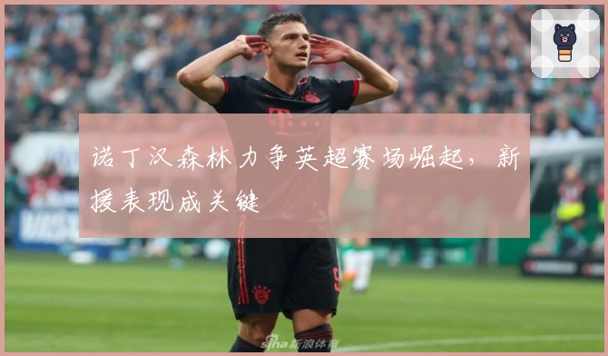 诺丁汉森林力争英超赛场崛起，新援表现成关键